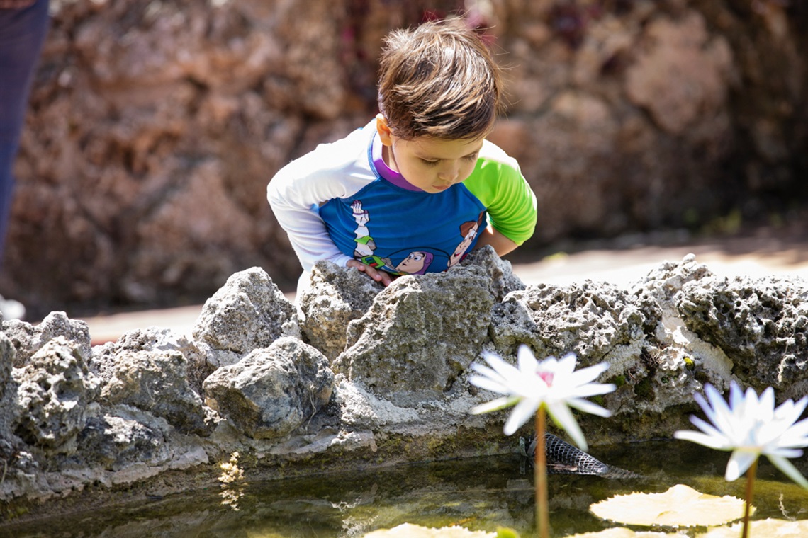 edu fieldtrip fam garden day.jpg