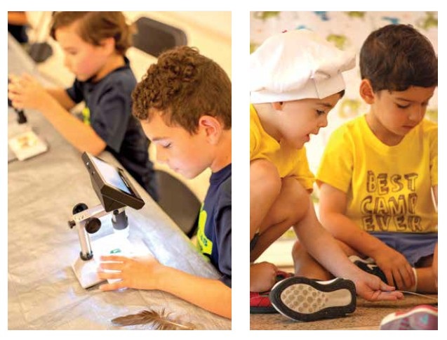 Edu in the Gardens - Camps.jpg
