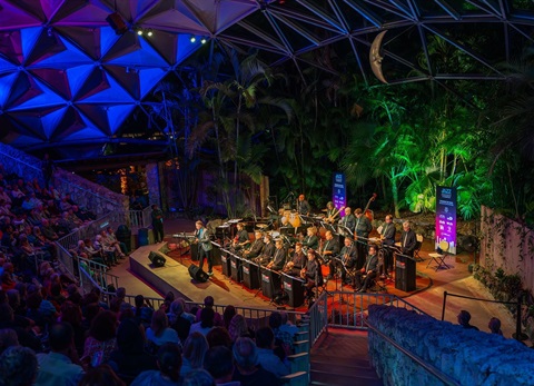 Web - Live Music Series.jpg