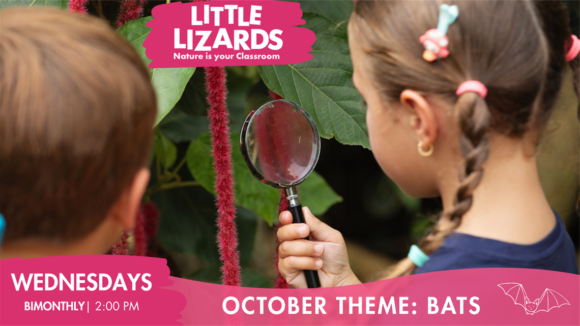 LL October BATS_Web Banner.png