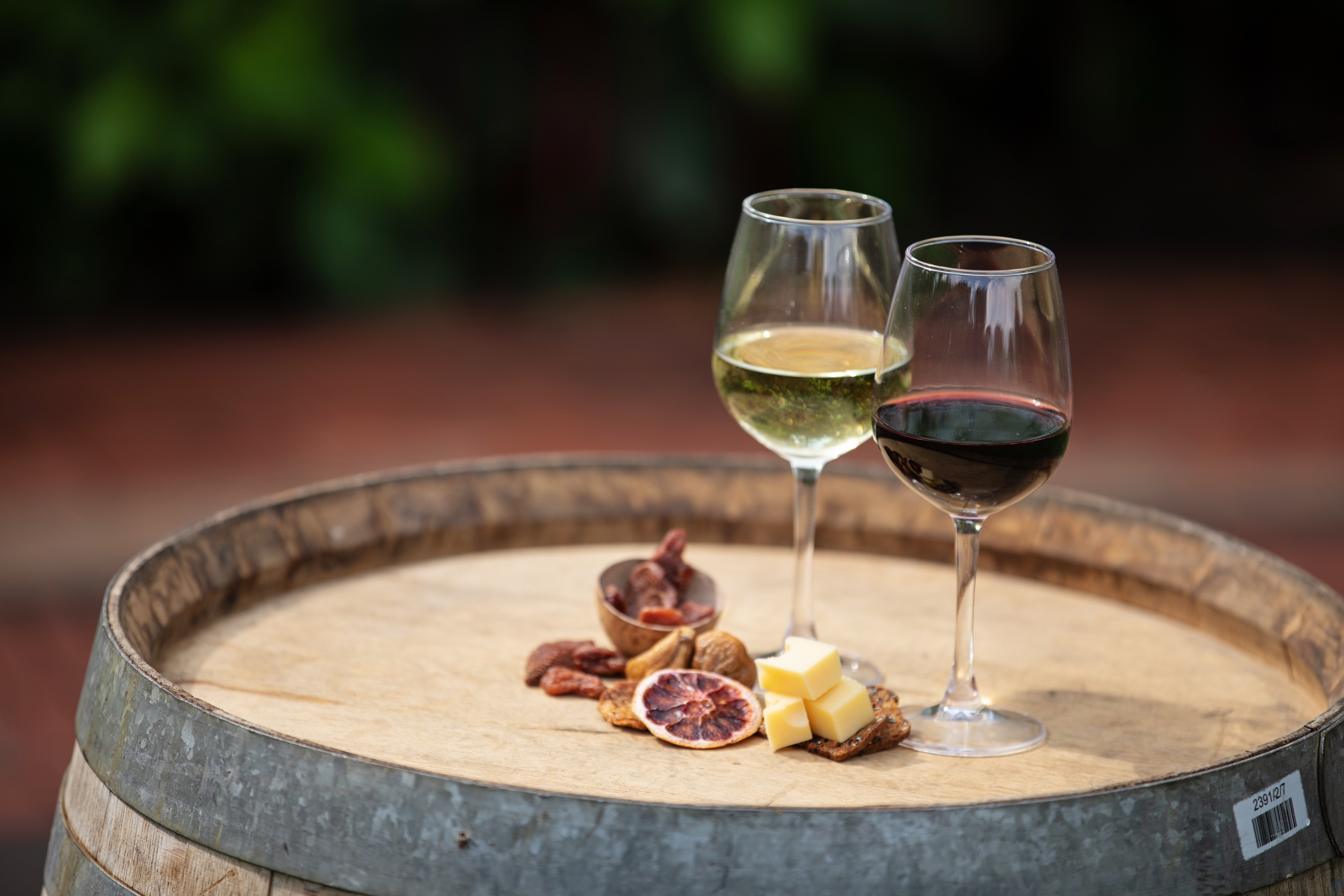 Wine_event-79 (small).jpg